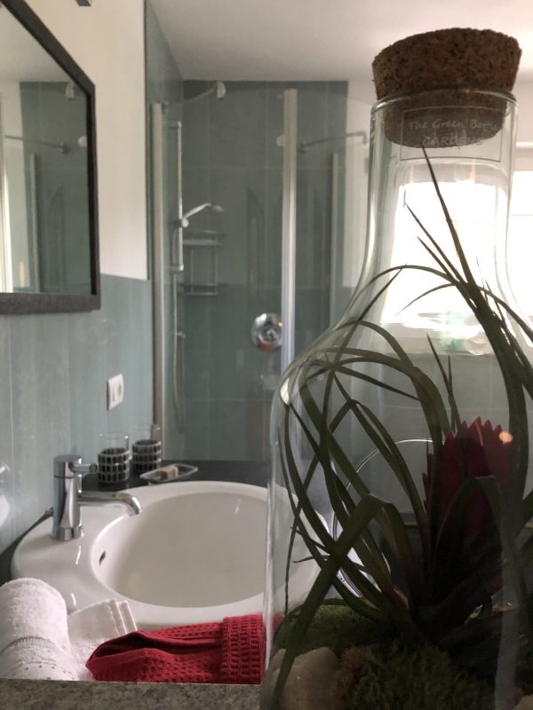 Wohnung 1