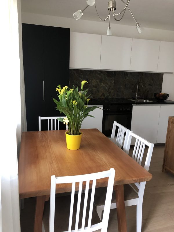 Wohnung 1
